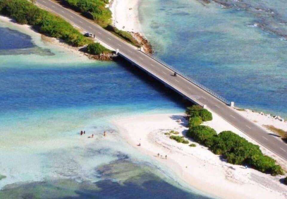 AmnaShath's tweet photo. #AdduCityIsSafeZone
#visitAdduCity
#LifeBeyondTheEquator 
#BestForDive
#BestForFishing #VisitMaldives #TheSunWillShineAgain https://t.co/6WHyJeOZWw