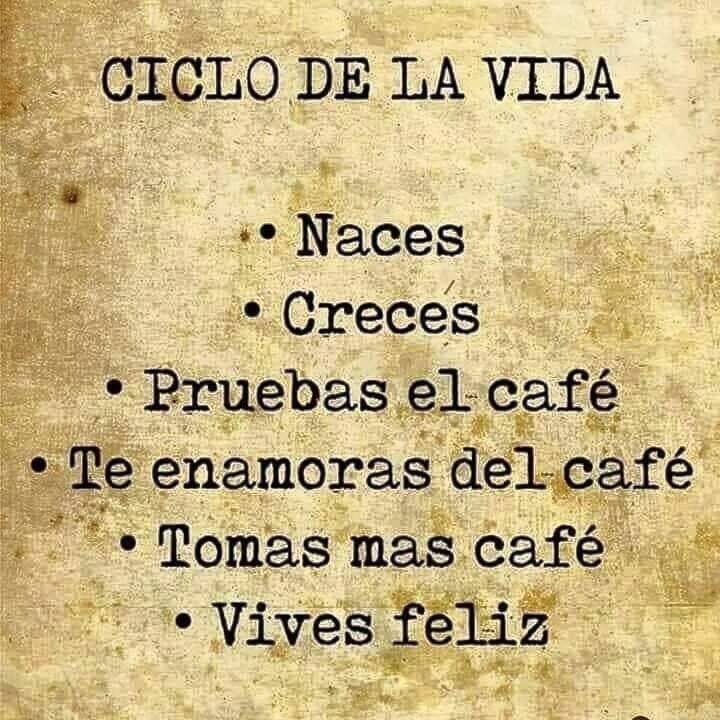 valek13alducin's tweet photo. ☕️☕️☕️☕️☕️ https://t.co/9lv2KQ52zY