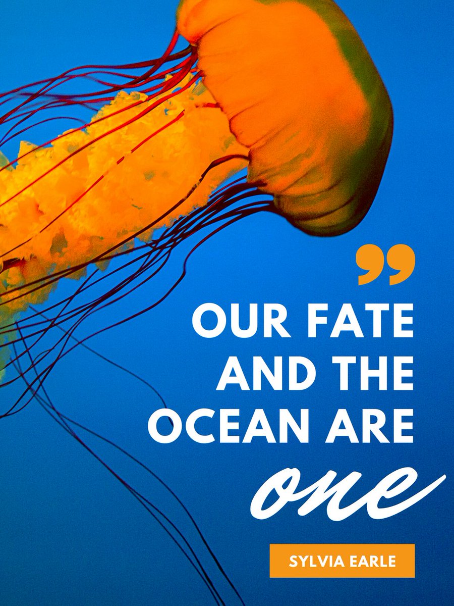 WorldOceansDay's tweet image. On #WorldOceansDay we celebrate the global ocean that connects us all! Celebrate the #blueplanet you love and the future we fight for 🙌 💙 🌏