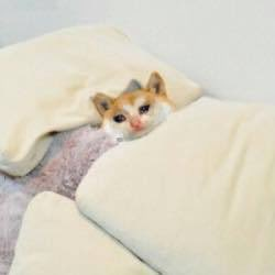 || I'm in need of a hug, not sad just touch starved.