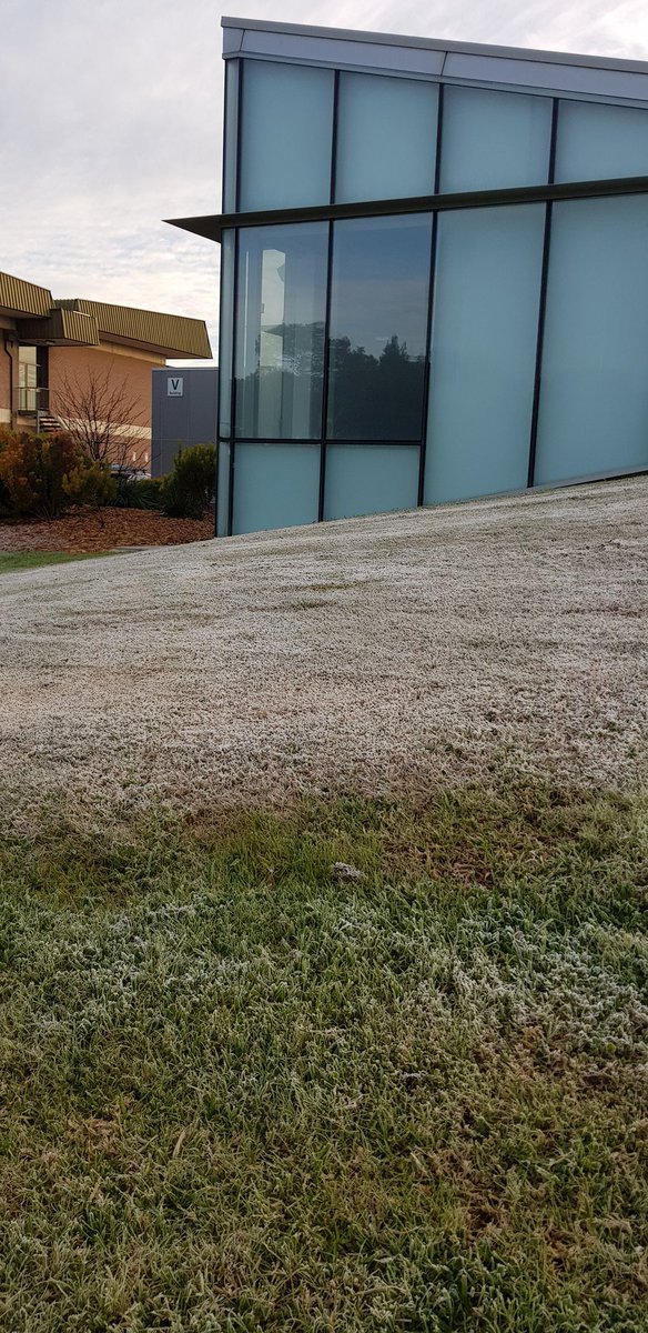 Solid frost next to building V at Mawson Lakes campus on this beautiful crisp winter morning <a href="/UniversitySA/">UniSA</a>