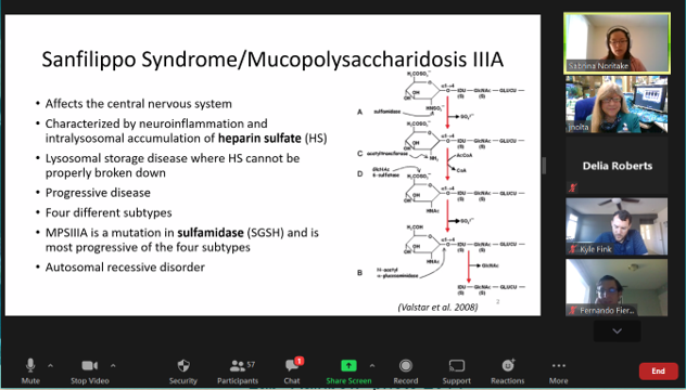 jan_nolta's tweet photo. Today in our #StemCell & #GeneTherapy Seminar Series we were fortunate to have @cirmnews Bridges Student Sabrina Noritake present her project on Neural stem cells engineered to make SGSH enzyme for #SanFilippo syndrome (#MPSIIIA). Bridges is a great training program w/ @sacstate. https://t.co/GYNYBgbgZ7