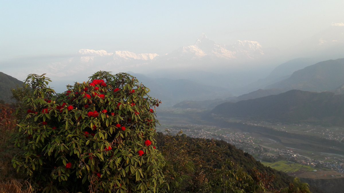 pari_guide's tweet photo. https://t.co/aK630zrZHN