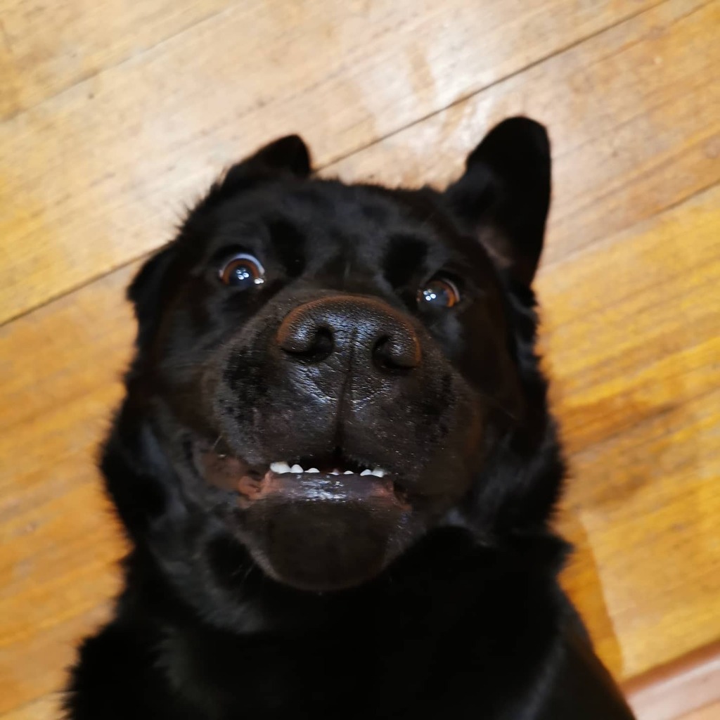 RealeLearnGood's tweet image. Back to school feels instagr.am/p/CBMJoKdj1-Uy…