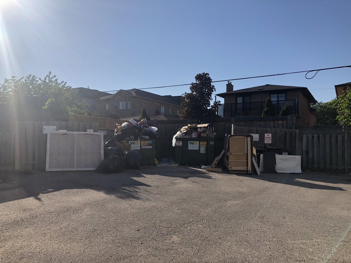 MarleeAveTO tweet media