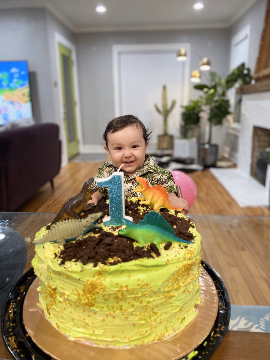 mama_milllie's tweet photo. What an amazing FIRST BIRTHDAY 🦖 My little junebug! I never knew a love like this 🌿 #DIYbackdrop #DIYcake https://t.co/iFx8TiHBkk