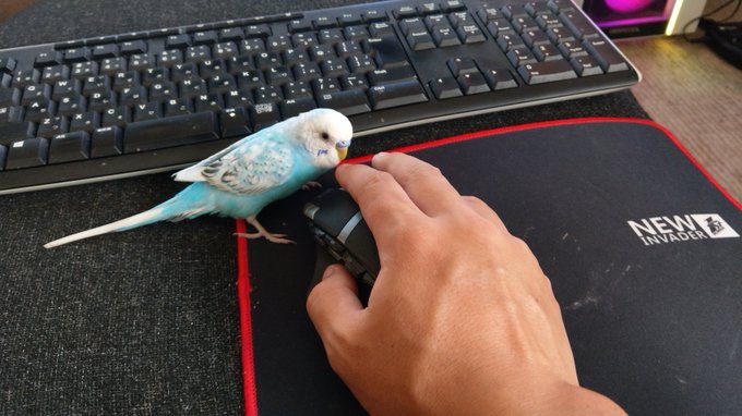 Son Tweetsこくばん 25 Whotwi Grafiksel Twitter Analizi Son Tweetsこくばん 25 Whotwi Grafiksel Twitter Analizi