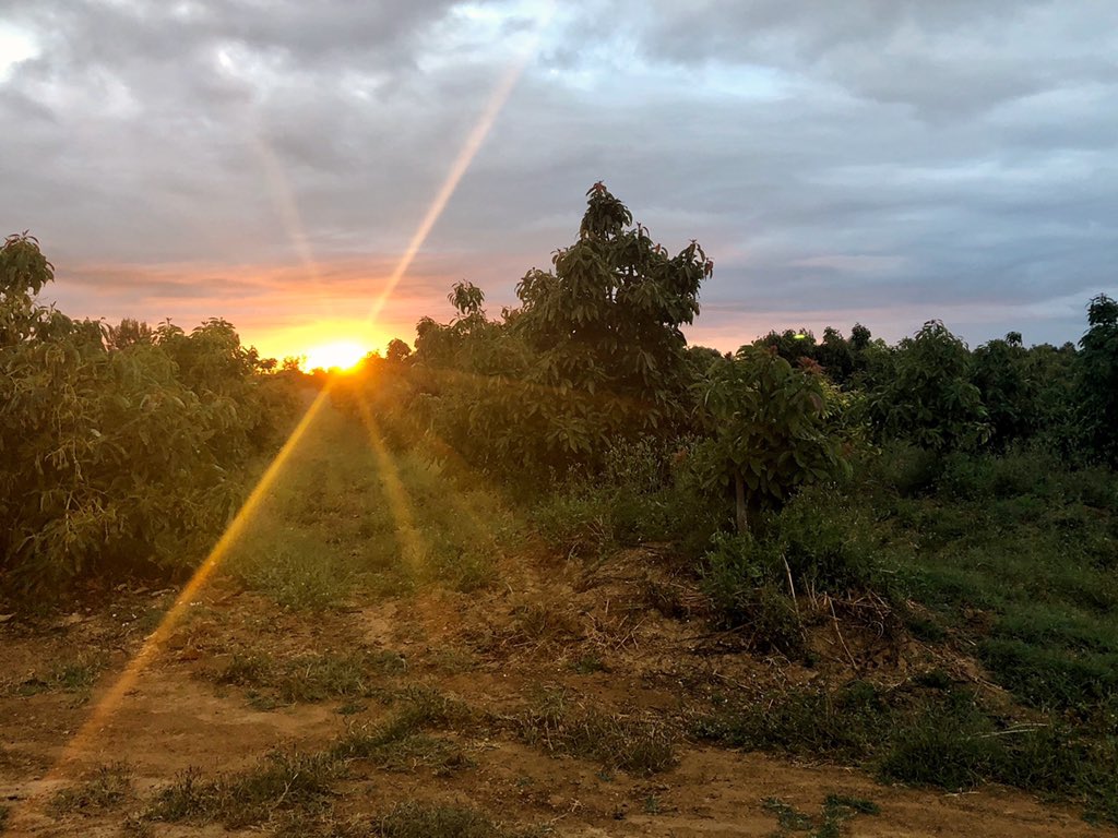 lizzie_hubbard2's tweet photo. Caught a lovely #sunrise last week while out and about early on a run🏃‍♀️ Another lovely #MorningBeautiful view🤩
Have a good day all😊💐 #traveltribe #Algarve #Portugal #sunrises #nature #NaturePhotography #naturelovers #tuesdayvibes #TuesdayMotivation https://t.co/vyQPQccv06