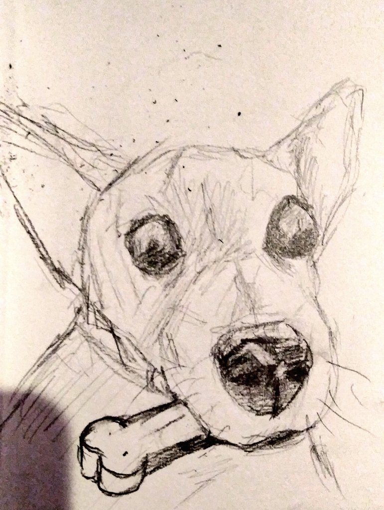 Noland_Cartoons's tweet photo. Your dogs little bone name tag was very close to his mouth so I turned it I to a bone https://t.co/BDiAj9GFwV