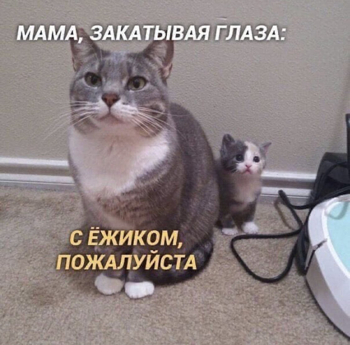 Потому что всем с утра нужен самый добрый мем!!