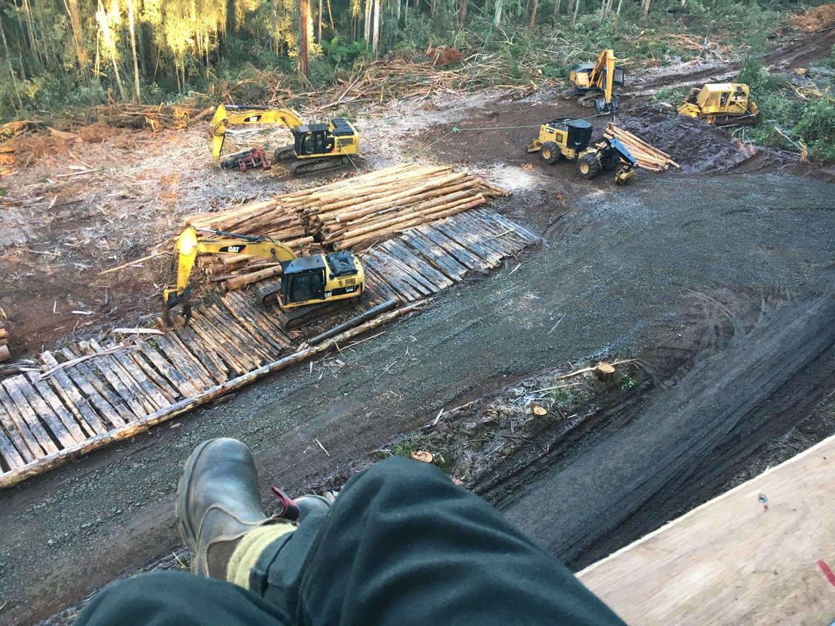 Ecoshouting's tweet photo. BREAKING: Logging halted in Lakes Entrance.

Logging now disrupted in SEVEN coupes incl Toolangi, Baw Baw, Noojee, Cambarville, Warburton &amp; Mt Cole. 

Traditional Owners gave #NoConsent for desecration of Country &amp; Totems. #StopLoggingCountry

#LoggingIsCriminal #ClimateEmergency https://t.co/HP37daTosf