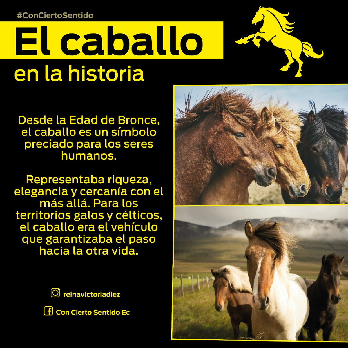 reinavictoriadz's tweet photo. El #caballo y los seres #humanos. https://t.co/EVSyfm5YqS