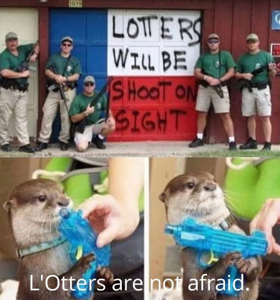 Lotters gonna lott!