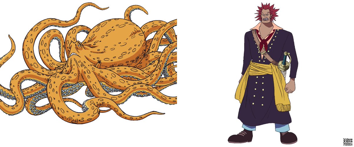 One Piece Com ワンピース ニュース 本日誕生日キャラクターをチェック Onepiece T Co Ycy1prmdoo