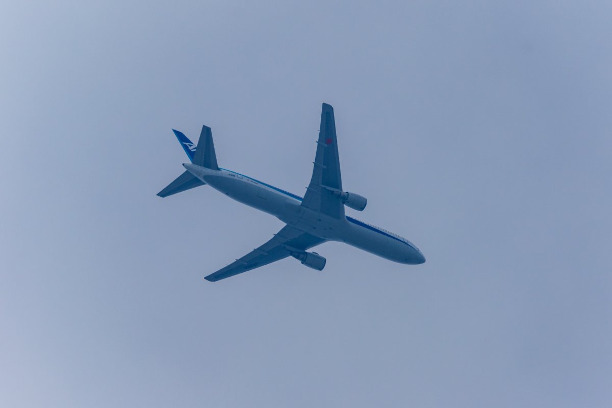 demerara_151's tweet photo. #クモリ倶楽部
#イマソラ
#クモリ倶楽部
#庭活
#ANA #AllNipponAirways
#B767 #B767300ER
#NH247 #JA611A
#HND_FUK
#高度17000ft
#ソラマニ_ヒコーキ https://t.co/Fdd8vwztWH