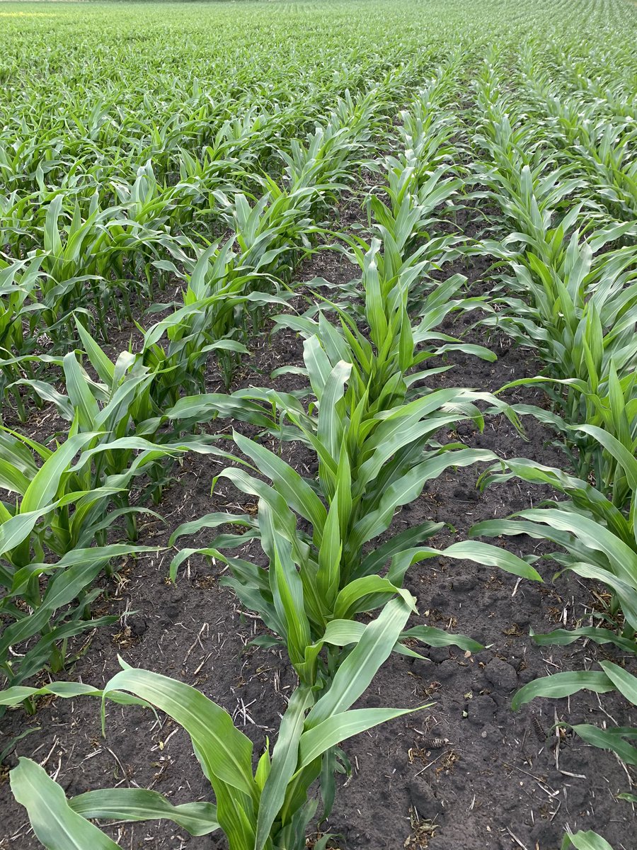 Keith Lendt tweet media