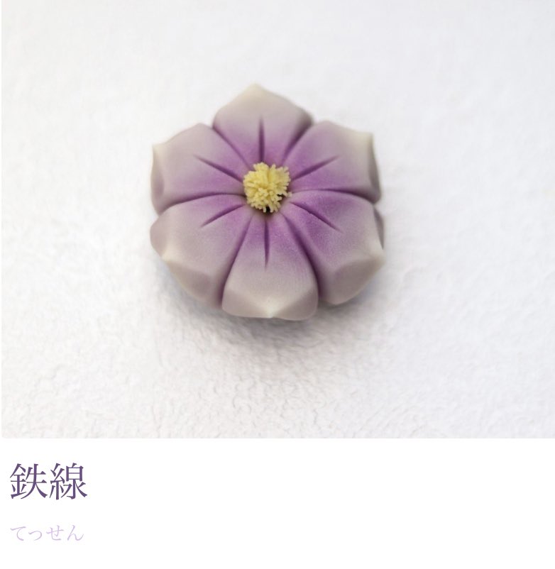 御菓子処 扇屋 季節の上生菓子 鉄線 てっせん クレマチスと言うお花の仲間で 名前 の通り 鉄線のように頑丈なツルを絡ませながら成長していく姿から 名前がつけられたそうです 力強く凛と美しく咲き誇るこの花には 私も頑張ろう と思わせて