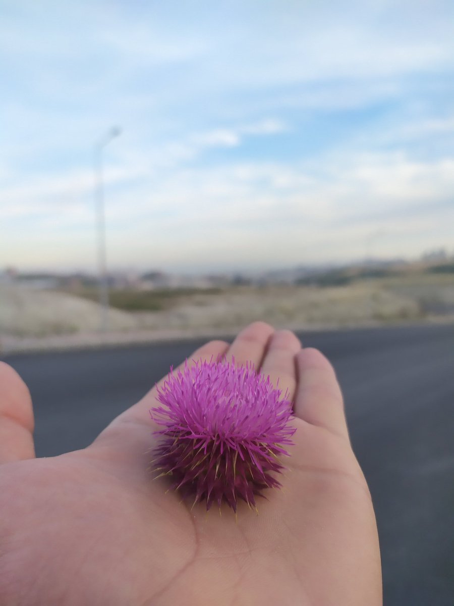 İkisi de güzel, ikisi de ölü.