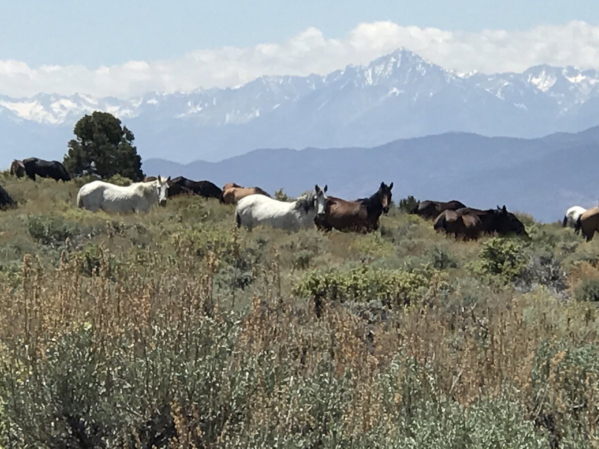 Krystal Jenkins tweet media