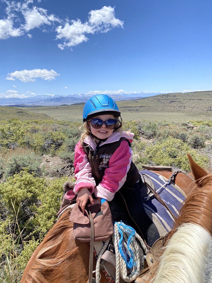 Krystal Jenkins tweet media