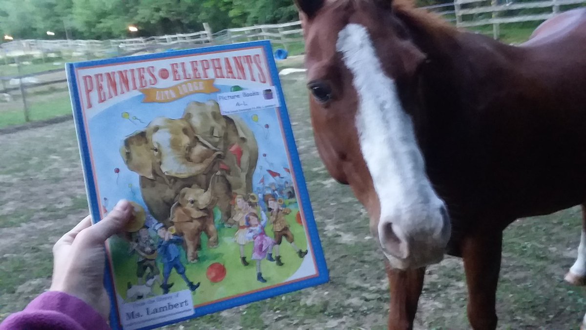 ReadwithRusty's tweet photo. Kids working together can do big things! Today Rusty reads Pennies for Elephants by Lita Judge. What are you reading?

Comment with your book, and Rusty gets a treat from you on our Friday video!

#boston #zoo #elephants #horses #reading https://t.co/xkZBNsFdiu