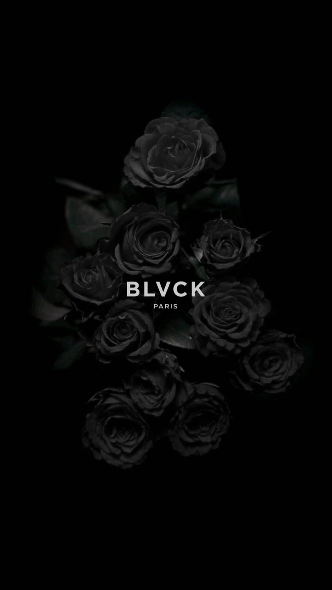 Blvck Paris Whte Paris 30日間毎日 企画 27日目 スマホの待ち受けを毎日変えて楽しもう ロゴ By Blvck Paris 待受画像 薔薇 壁紙 ブラックパリ Blvckjapan Blvck Paris Whte Paris 30日間毎日 企画 27日目 スマホの待ち受けを毎日変えて楽しもう ロゴ By Blvck Paris 待受画像 薔薇 壁紙 ブラックパリ Blvckjapan