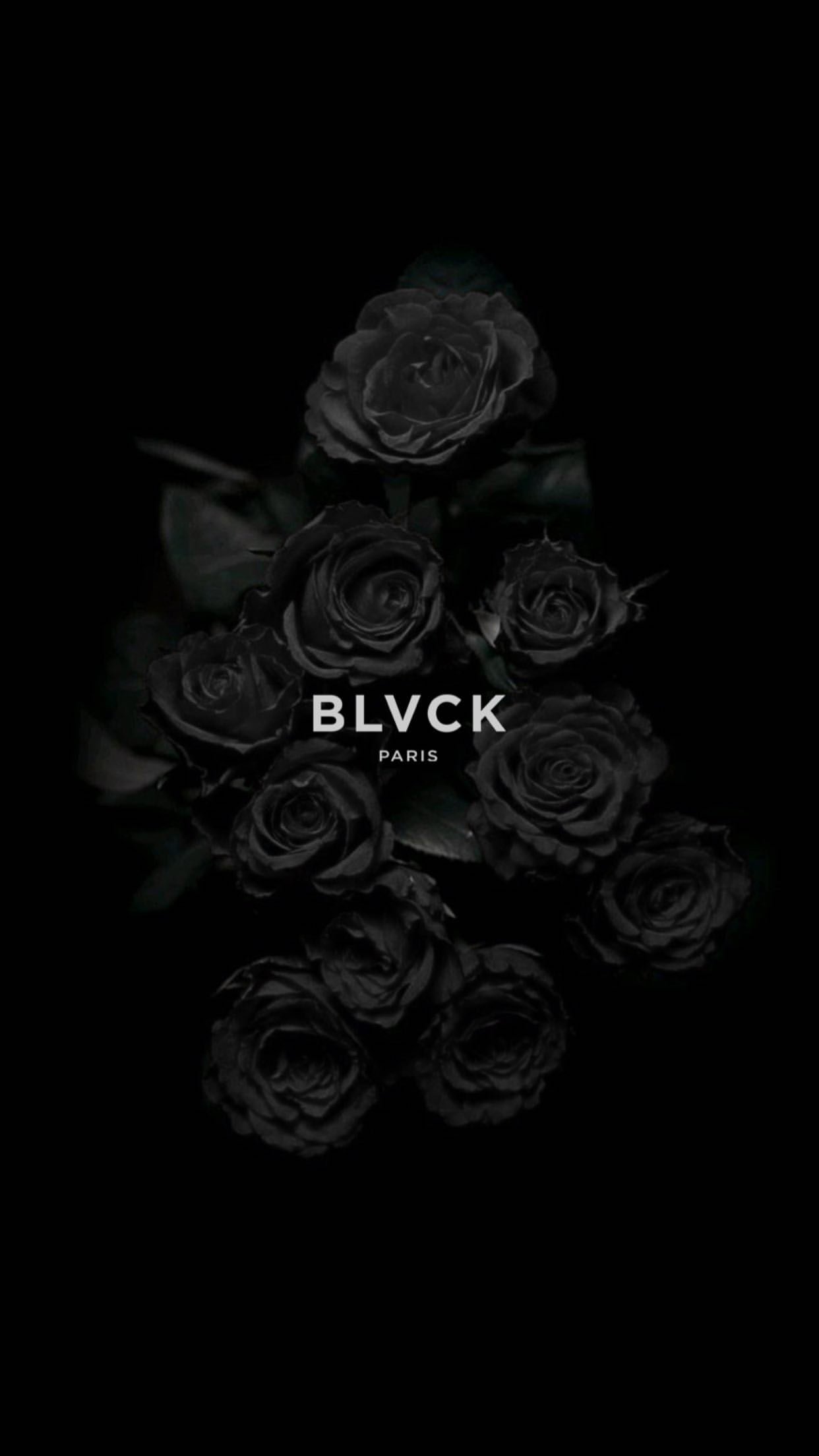 Blvck Paris Whte Paris 30日間毎日 企画 27日目 スマホの待ち受けを毎日変えて楽しもう ロゴ By Blvck Paris 待受画像 薔薇 壁紙 ブラックパリ Blvckjapan T Co 3ulfnf8gso Twitter