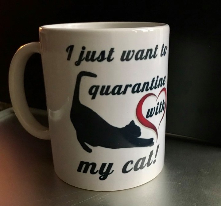 Cats Exclusive tweet media