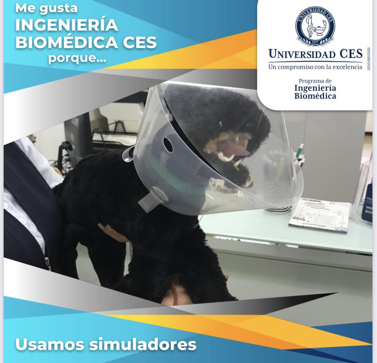 Nuestra educación utiliza la simulación, ya que permite realizar prácticas análogas a las que se realizan en la interacción con la realidad en los diferentes escenarios. El empleo de la simulación permite acelerar el proceso de aprendizaje y contribuye a elevar su calidad