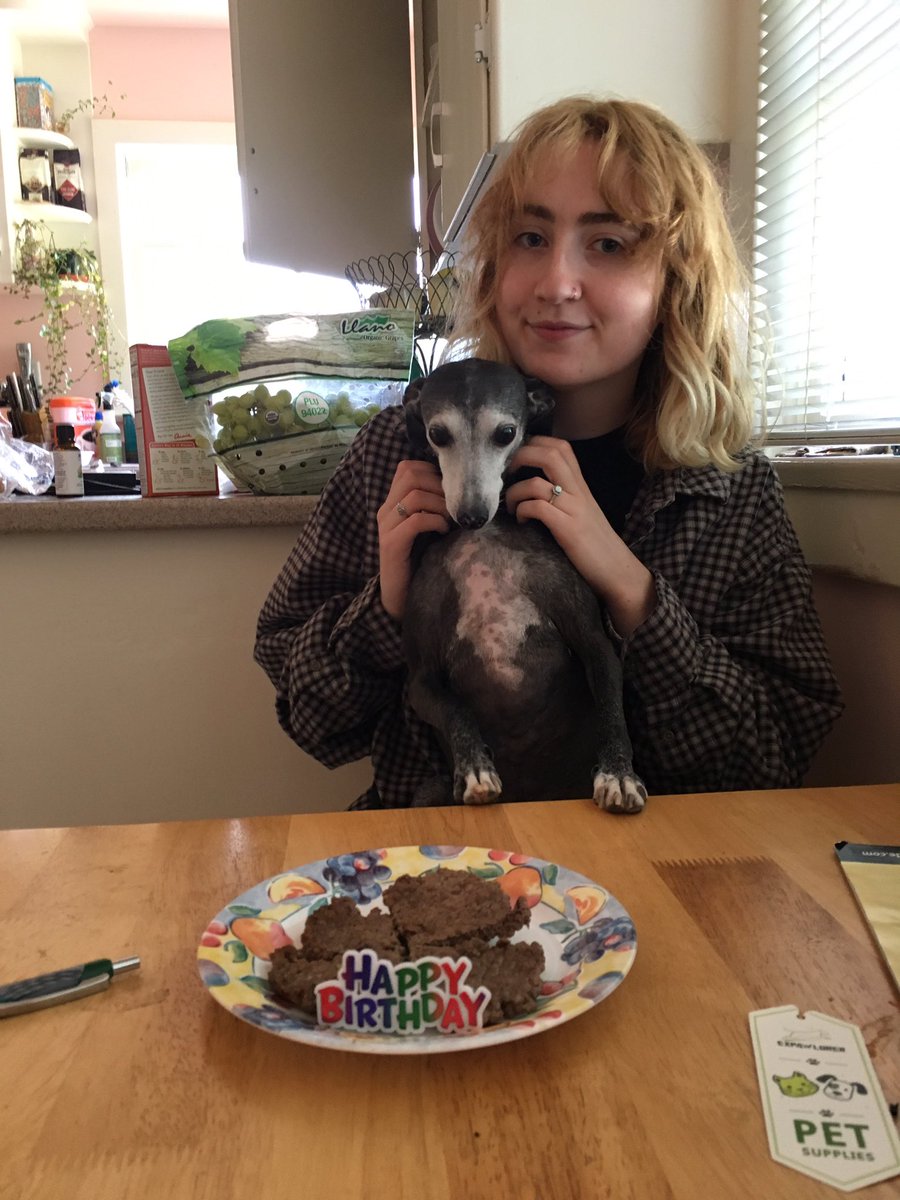 zaddywiseau's tweet photo. i know times are scary and bad, but my dog turned 10 today https://t.co/mRIRruuSLZ