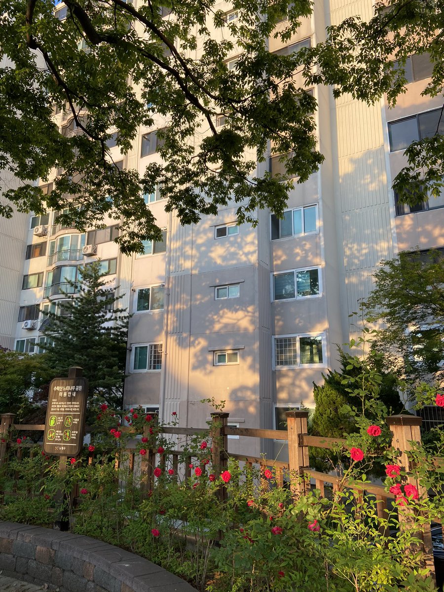 5월 말에 찍은 초여름 풍경. 이때까지만 해도 대낮 산책 오케이였는데 이제는 외출 자체가 두렵다😱