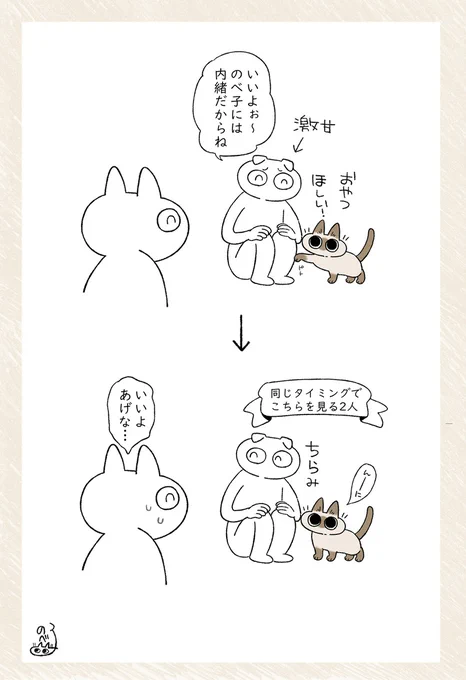 息ぴったりか #シャム猫あずきさんは世界の中心 