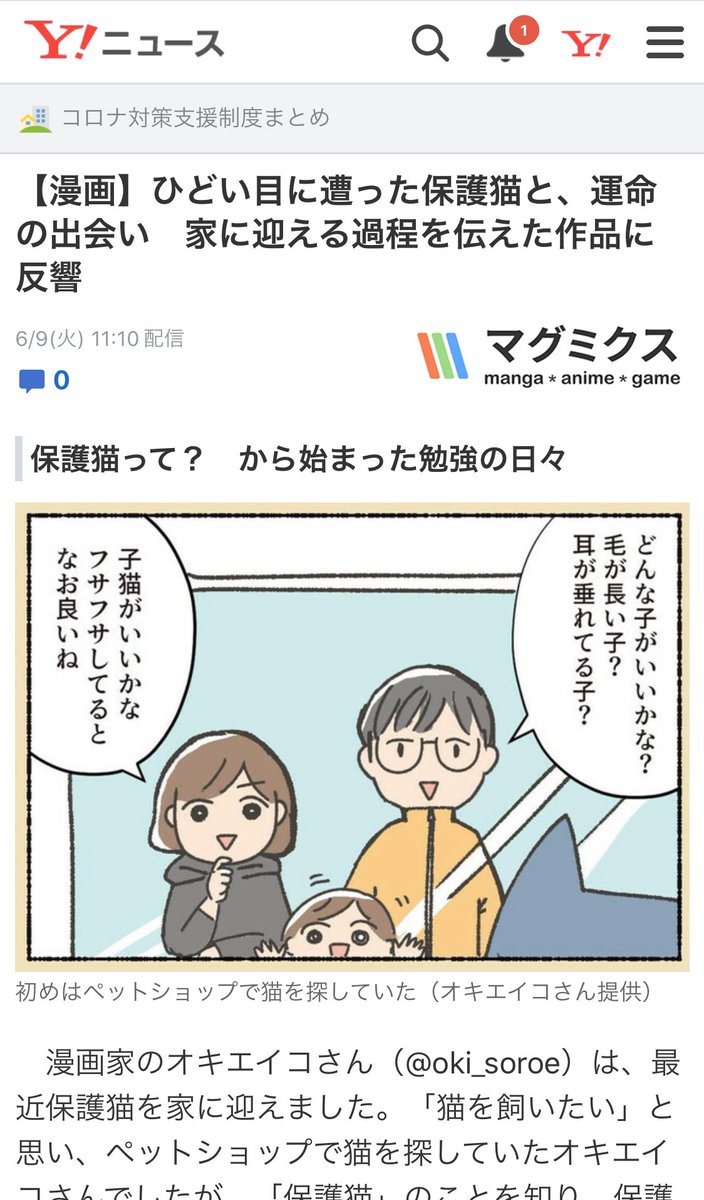 今日のYahooニュースに、保護猫漫画についてインタビュー受けたのが載ってます。ちょっとだけどね。

私もそうだったからこそ、保護猫について知らない人達に届くといいなと思いながら取材うけました。

https://t.co/TnME8YeNDa 