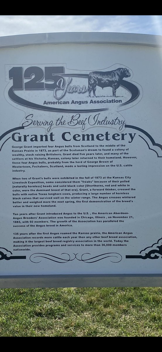 RadarZ06's tweet photo. Stopped at Victoria Kansas on Saturday...the George Grant Cemetery and  the Basilica Cathedral were both very impressive..
#kansasisbeautiful https://t.co/tTZ5P9duu2