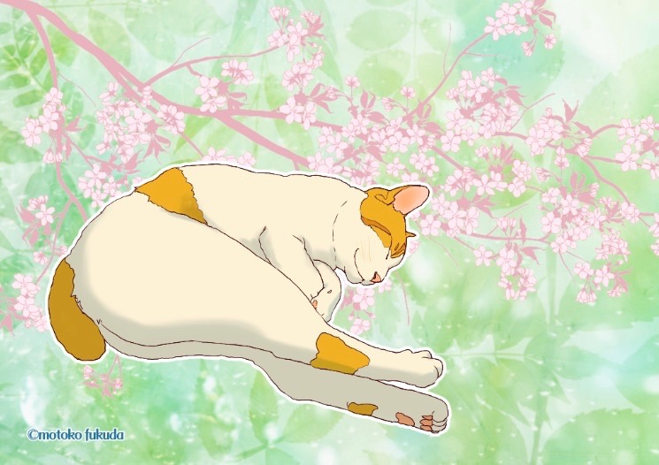 ふくだもとこ オフィシャル 祐也 松川祐里子さん Yuuyayuriko ちのバッシュさんカード作らせていただきました バッシュさんの見ているだけで癒やされるやさしいイケメンっぷりが出てるといいなぁ トレス絵でカード作る バッシュさんモデルに ふくだもとこ オフィシャル 祐也 松川祐里子さん Yuuyayuriko ちのバッシュさんカード作らせていただきました バッシュさんの見ているだけで癒やされるやさしいイケメンっぷりが出てるといいなぁ トレス絵でカード作る バッシュさんモデルに