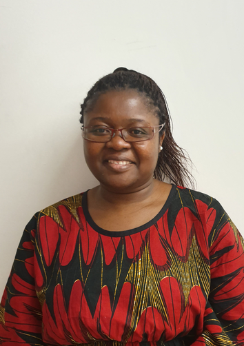 ISBSIB's tweet photo. A #virtual programme put together by the #SIBdays20 Scientific Committee - @EvoNeuroLab, @_julien_roux, @a_sapala &amp; @rmwaterhouse. And it starts with our 1st keynote @VickyNembaware, Project Manager for the Sickle Africa Data Coordinating Centre @SickleInAfrica: welcome Vicky! https://t.co/tUMcDls67Z