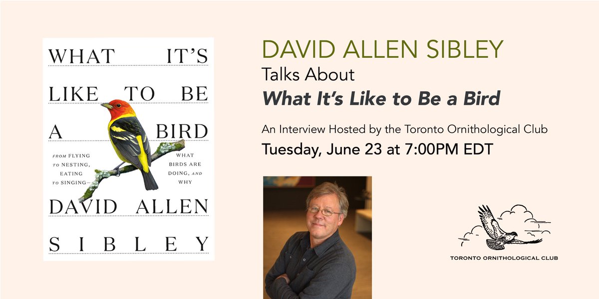 Special event!

Join us for our first Trans-Canada webinar event as we talk to David Allen Sibley about his new book, What It’s Like to Be a Bird!

RSVP here: tinyurl.com/ycw7qunu #tobirdparty