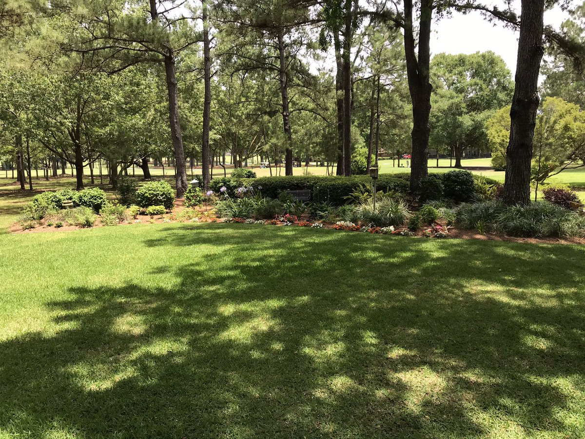 ArleenHandler's tweet image. 