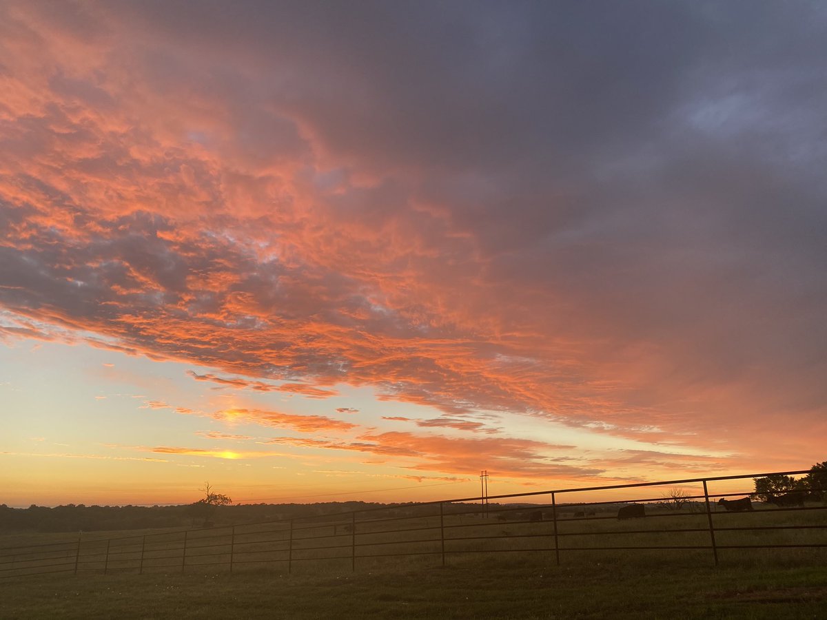 SueBranan's tweet photo. Beautiful sunset at the Branan Ranch! @Brananplumbing @dbranan @vondcastor @newson6wxguy https://t.co/26tYO745yL