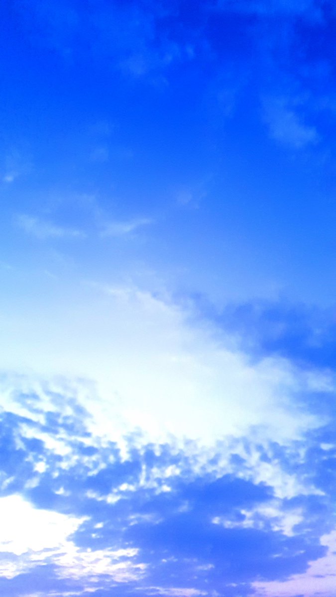 meshwow tweet picture