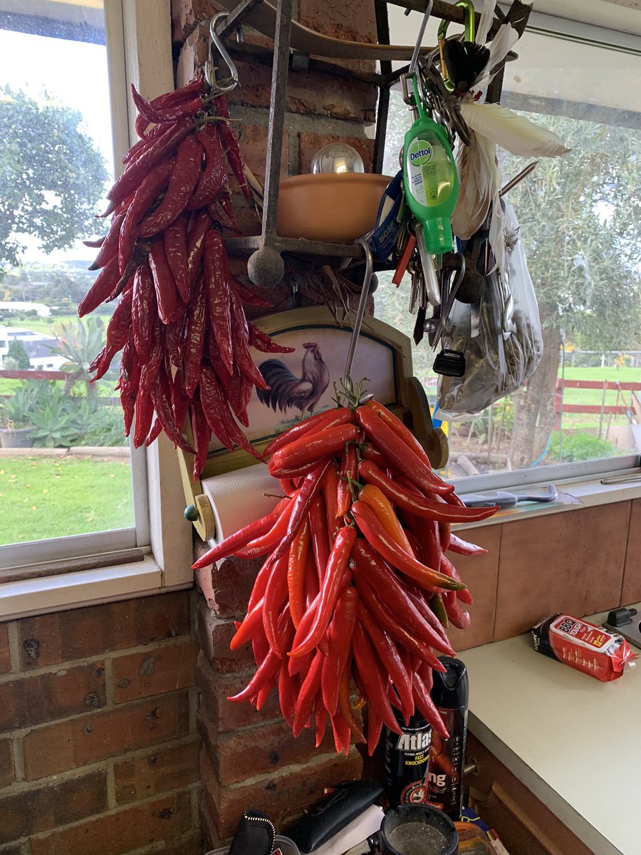 calabre95125305's tweet photo. #peppirchino #peppers #hotchillies https://t.co/XT0PCPMoo3