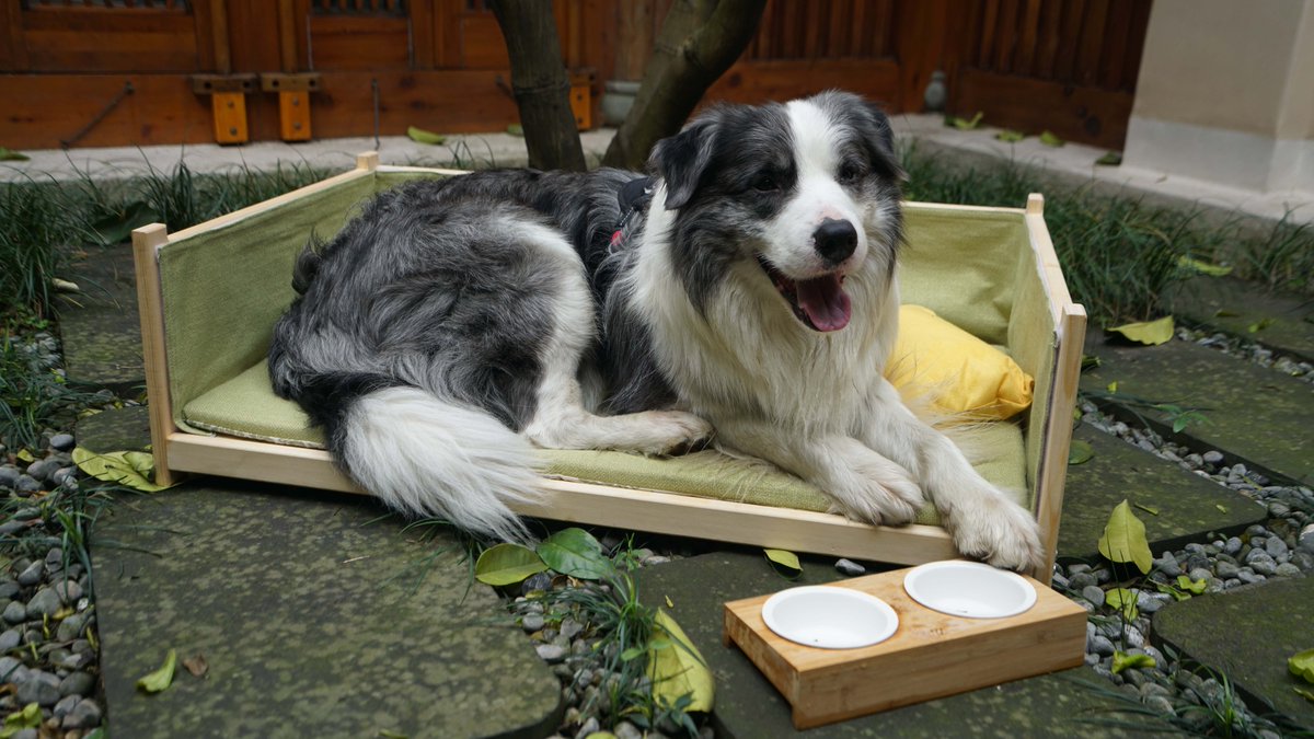 sixsenses's tweet image. #SixSenses Qing Cheng Mountain #China, while family-friendly, is extending warm welcomes to the little paws!
Our furry friends will have their own in-villa check-ins and amenities - the least we can do for our best friend.
#FunAndQuirky