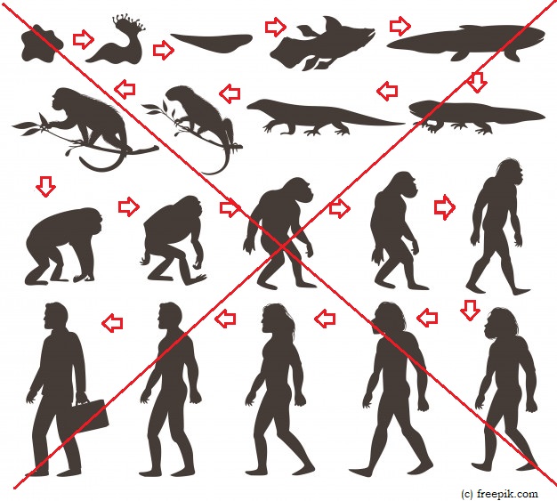 4/n A Very Important Question- In 1000s of Years of History, Did You come across any incident record of a Monkey getting upgraded to Human, as per Darwin's Theory of Evolution ? Shockingly the Answer is No! Let's delve in the Fascinating thread that follows #Thread