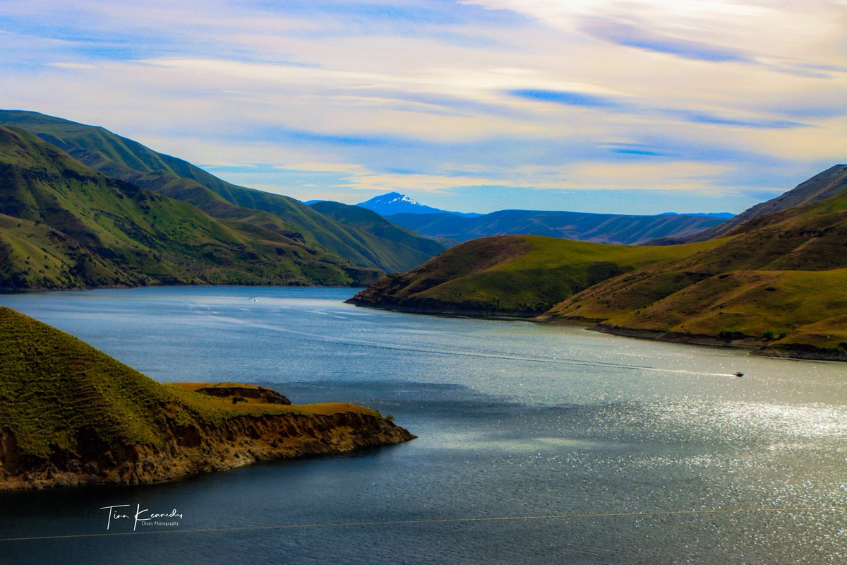 ChaosPhotograp2's tweet photo. Brownlee Reservoir ~ Idaho
#chaosphotography #brownleereservoir #landscapephotography #waterphotography #naturephotography #thisisidaho https://t.co/eNeaz3c1Db
