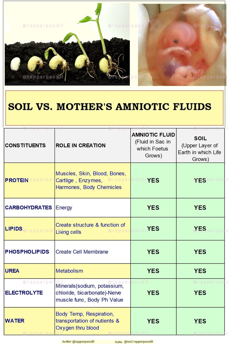 14/n SOIL is to EARTH What WOMB is to MOTHER !-Fluid in Amniotic Sac of WOMB: The Foetus in Womb grows due to Fluid which is Water& Electrolytes; by the 12-14th week also contains Proteins, Carbohydrates, Lipids & Phospholipids & Urea-SOIL Contains All of These (Like MOTHER)