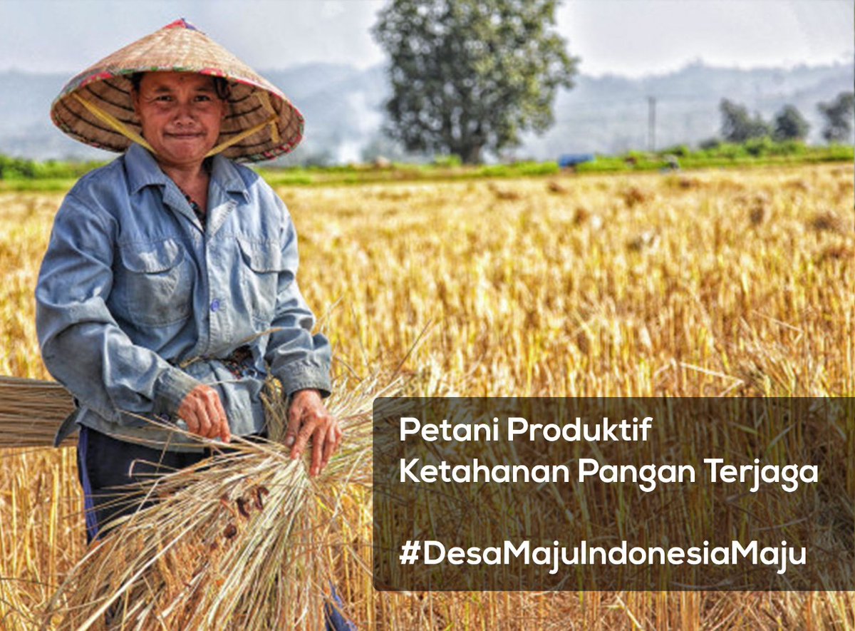 Petani Indonesia siap memasuki normal baru (New Normal) #DesaMajuIndonesiaMaju