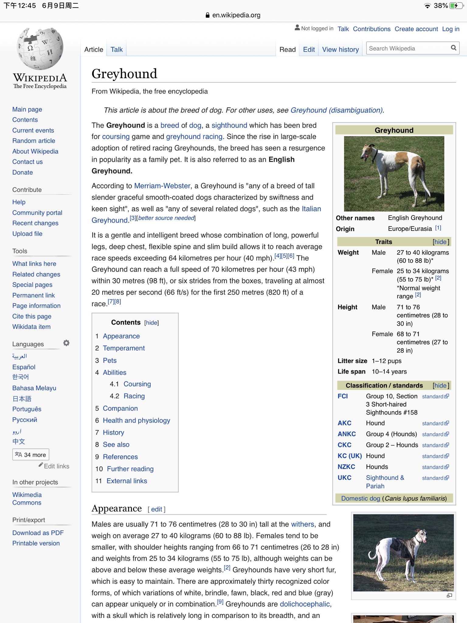 白鯨新聞 Jp ペッロー Perroーー犬 Perroは犬を意味するスペイン語 リプに各ペッロー族オペレーターの具体原型 Twitter