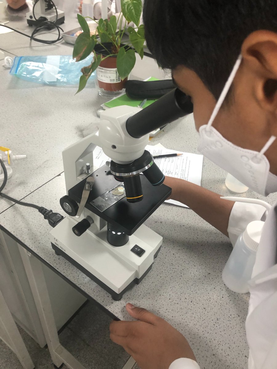 Kim Stuart tweet media