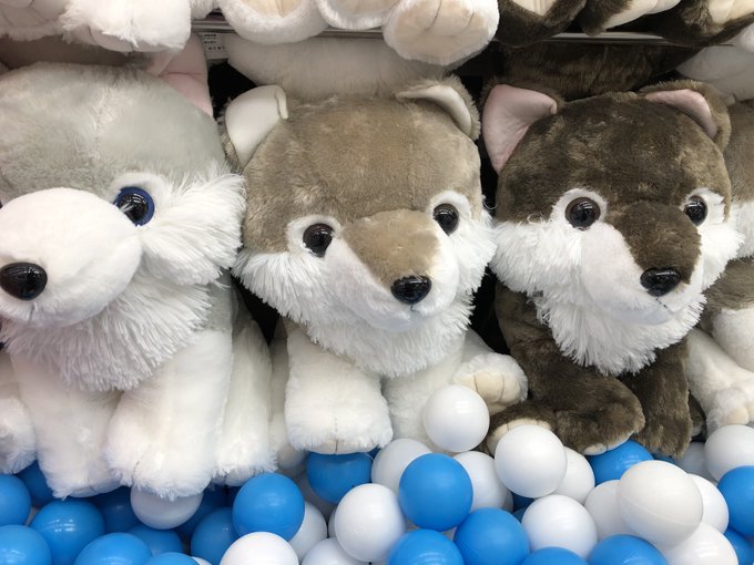 タイトーステーション 海老名ビナウォークさん がハッシュタグ クレーン をつけたツイート一覧 1 Whotwi グラフィカルtwitter分析 タイトーステーション 海老名ビナウォークさん がハッシュタグ クレーン をつけたツイート一覧 1 Whotwi グラフィカルtwitter分析