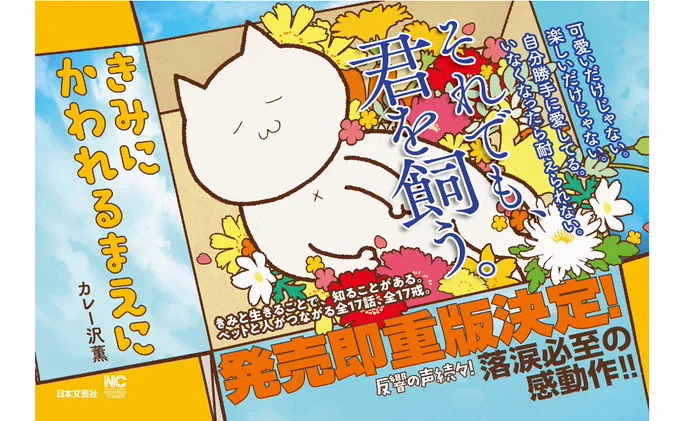 きみにかわれるまえに、早くて今日重版出来と聞いてますので、書店様POPなどもご用意していますので、どうぞよろしくお願いします、雑に印刷して使おう! 